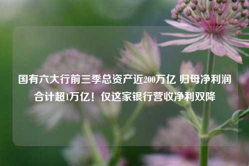 国有六大行前三季总资产近200万亿 归母净利润合计超1万亿！仅这家银行营收净利双降