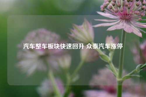 汽车整车板块快速回升 众泰汽车涨停