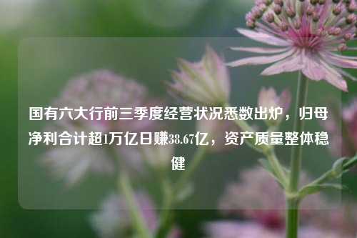 国有六大行前三季度经营状况悉数出炉，归母净利合计超1万亿日赚38.67亿，资产质量整体稳健