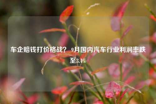 车企赔钱打价格战？ 9月国内汽车行业利润率跌至3.4%