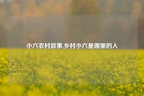 小六农村故事,乡村小六是哪里的人