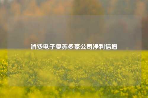 消费电子复苏多家公司净利倍增