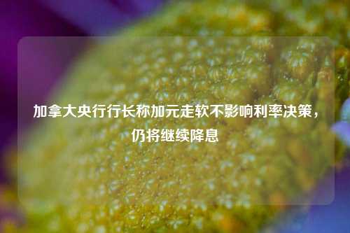 加拿大央行行长称加元走软不影响利率决策，仍将继续降息