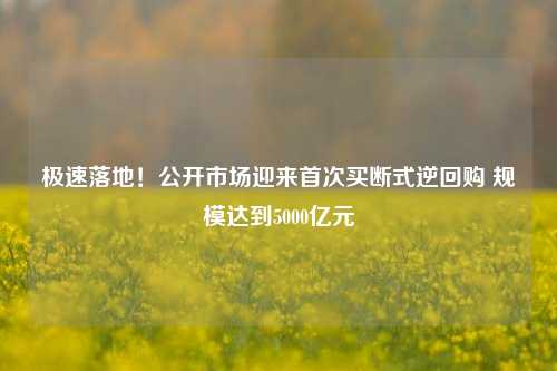 极速落地！公开市场迎来首次买断式逆回购 规模达到5000亿元