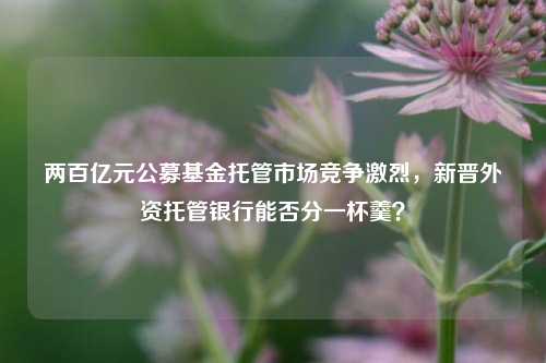 两百亿元公募基金托管市场竞争激烈，新晋外资托管银行能否分一杯羹？