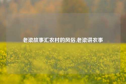 老梁故事汇农村的风俗,老梁讲农事