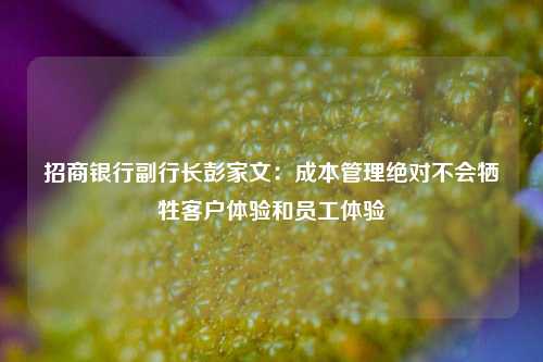 招商银行副行长彭家文：成本管理绝对不会牺牲客户体验和员工体验