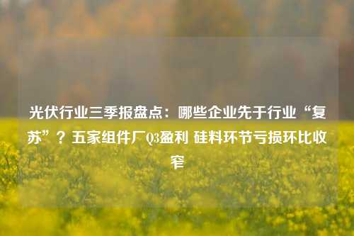 光伏行业三季报盘点：哪些企业先于行业“复苏”？五家组件厂Q3盈利 硅料环节亏损环比收窄