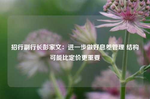 招行副行长彭家文：进一步做好息差管理 结构可能比定价更重要