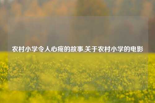 农村小学令人心疼的故事,关于农村小学的电影