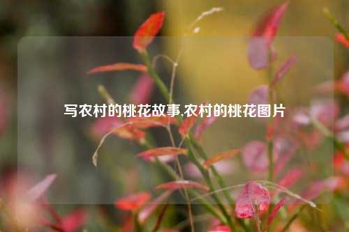 写农村的桃花故事,农村的桃花图片