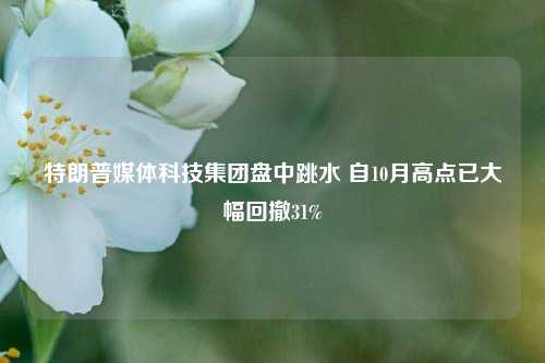 特朗普媒体科技集团盘中跳水 自10月高点已大幅回撤31%