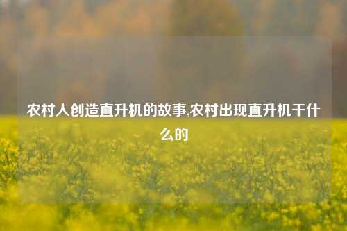 农村人创造直升机的故事,农村出现直升机干什么的