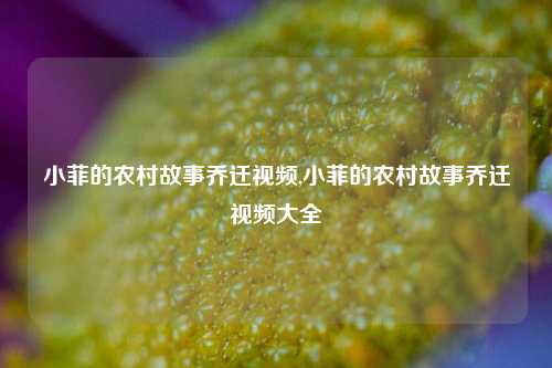 小菲的农村故事乔迁视频,小菲的农村故事乔迁视频大全