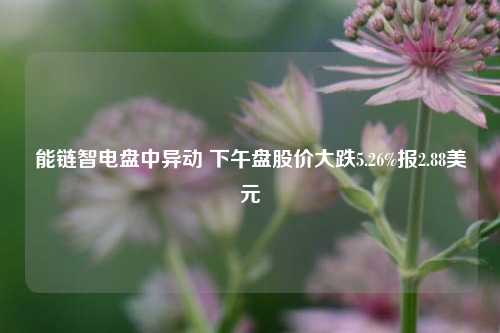 能链智电盘中异动 下午盘股价大跌5.26%报2.88美元