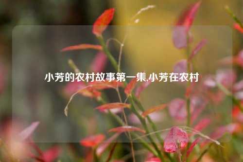 小芳的农村故事第一集,小芳在农村