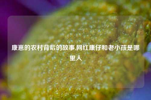 康崽的农村背后的故事,网红康仔和老小孩是哪里人