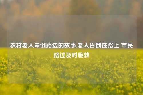 农村老人晕倒路边的故事,老人昏倒在路上 市民路过及时施救