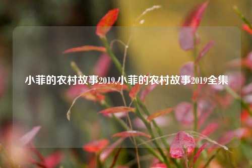 小菲的农村故事2019,小菲的农村故事2019全集