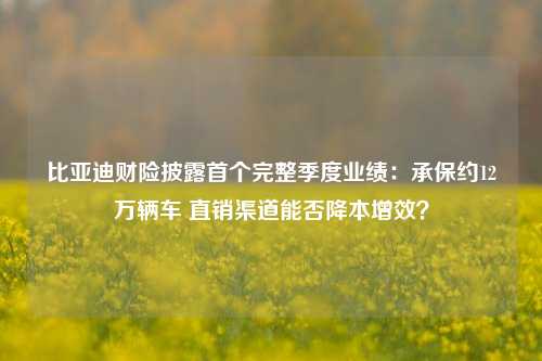 比亚迪财险披露首个完整季度业绩：承保约12万辆车 直销渠道能否降本增效？