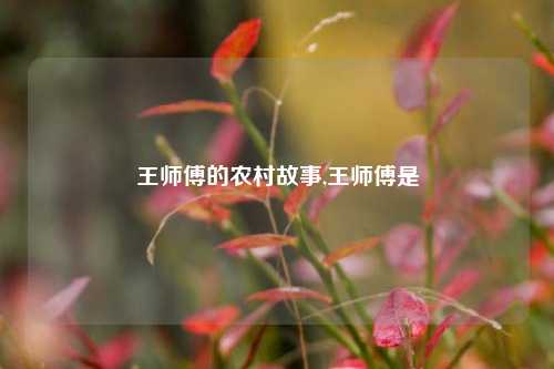 王师傅的农村故事,王师傅是