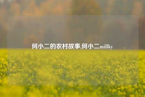 何小二的农村故事,何小二millky