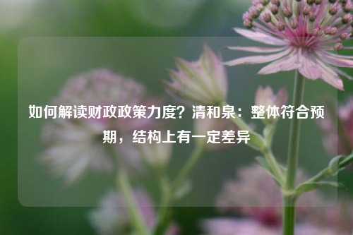 如何解读财政政策力度？清和泉：整体符合预期，结构上有一定差异