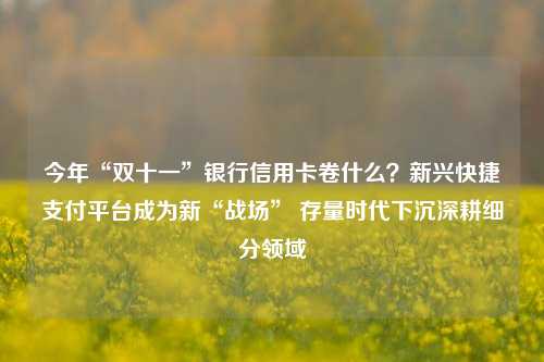 今年“双十一”银行信用卡卷什么？新兴快捷支付平台成为新“战场” 存量时代下沉深耕细分领域