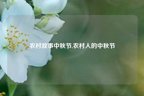 农村故事中秋节,农村人的中秋节