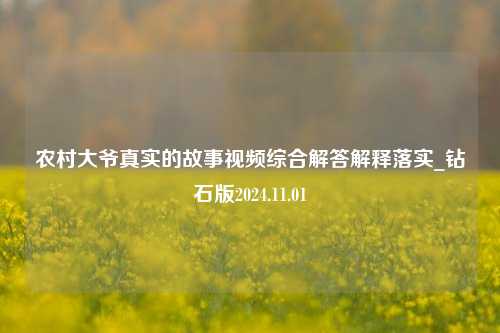 农村大爷真实的故事视频综合解答解释落实_钻石版2024.11.01