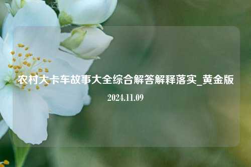 农村大卡车故事大全综合解答解释落实_黄金版2024.11.09