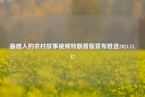 最感人的农村故事视频特朗普版宣布胜选2024.11.12