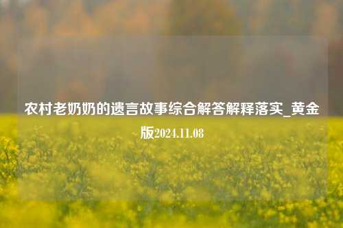 农村老奶奶的遗言故事综合解答解释落实_黄金版2024.11.08