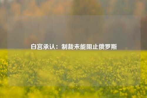 白宫承认：制裁未能阻止俄罗斯