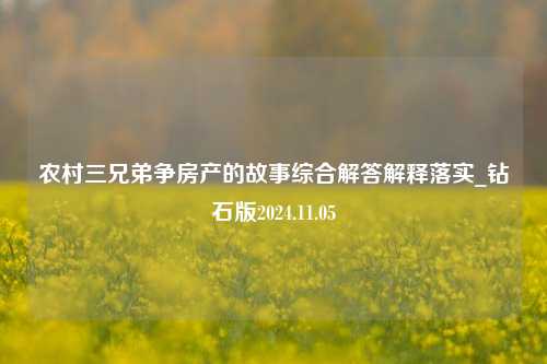 农村三兄弟争房产的故事综合解答解释落实_钻石版2024.11.05