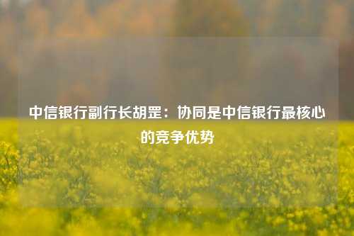 中信银行副行长胡罡：协同是中信银行最核心的竞争优势