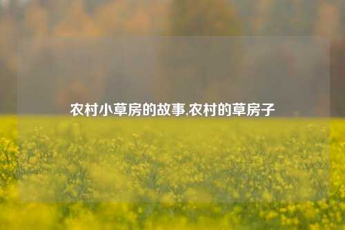 农村小草房的故事,农村的草房子