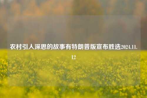 农村引人深思的故事有特朗普版宣布胜选2024.11.12