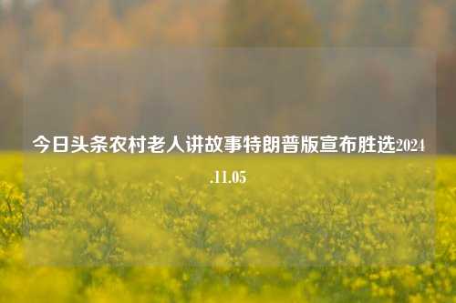 今日头条农村老人讲故事特朗普版宣布胜选2024.11.05