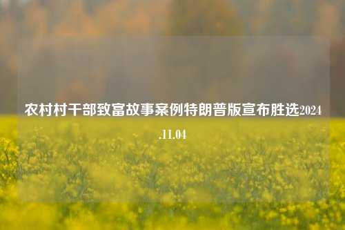 农村村干部致富故事案例特朗普版宣布胜选2024.11.04