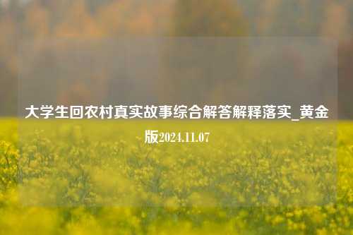 大学生回农村真实故事综合解答解释落实_黄金版2024.11.07