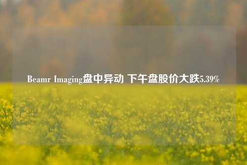 Beamr Imaging盘中异动 下午盘股价大跌5.39%