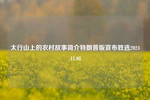 太行山上的农村故事简介特朗普版宣布胜选2024.11.08