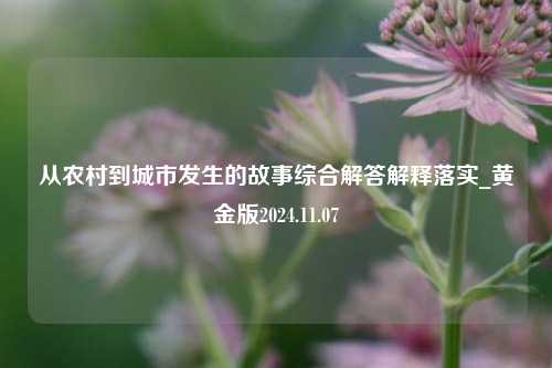 从农村到城市发生的故事综合解答解释落实_黄金版2024.11.07