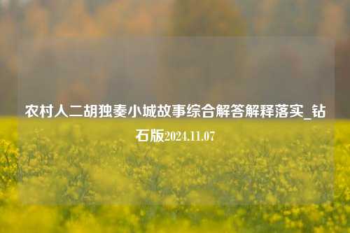 农村人二胡独奏小城故事综合解答解释落实_钻石版2024.11.07