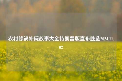 农村修锅补碗故事大全特朗普版宣布胜选2024.11.02