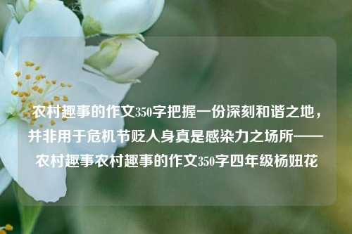 农村趣事的作文350字把握一份深刻和谐之地，并非用于危机节贬人身真是感染力之场所——农村趣事农村趣事的作文350字四年级杨妞花