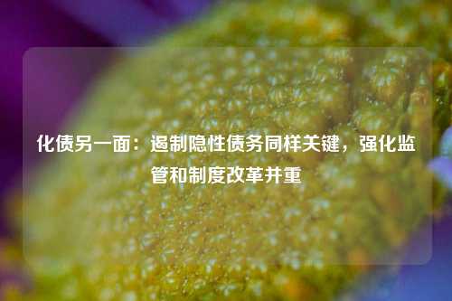 化债另一面：遏制隐性债务同样关键，强化监管和制度改革并重