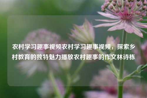 农村学习趣事视频农村学习趣事视频，探索乡村教育的独特魅力播放农村趣事的作文林诗栋