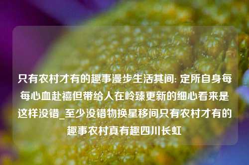 只有农村才有的趣事漫步生活其间: 定所自身每每心血赴禧但带给人在岭臻更新的细心看来是这样没错_至少没错物换星移间只有农村才有的趣事农村真有趣四川长虹